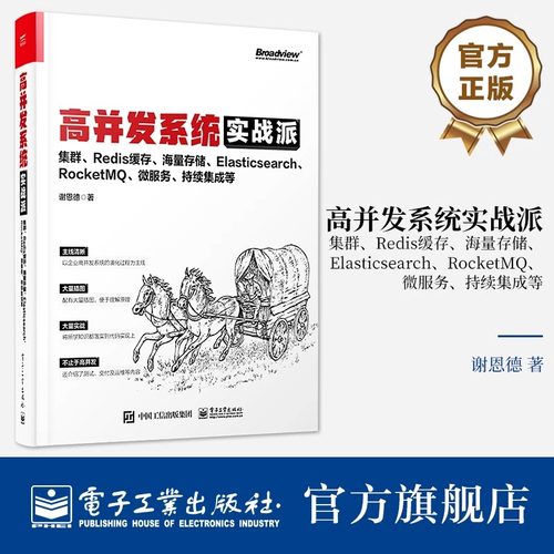 官方正版 高并发系统实战派 集群 Redis缓存 海量存储 Elasticsearch RocketMQ 微服务 持续集成等 企业系统技术框架搭建技术
