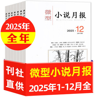 微型小说月报杂志2025年1-12月 全年珍藏 全小小说杂文选刊文学文摘类散文近代现代中长篇短篇
