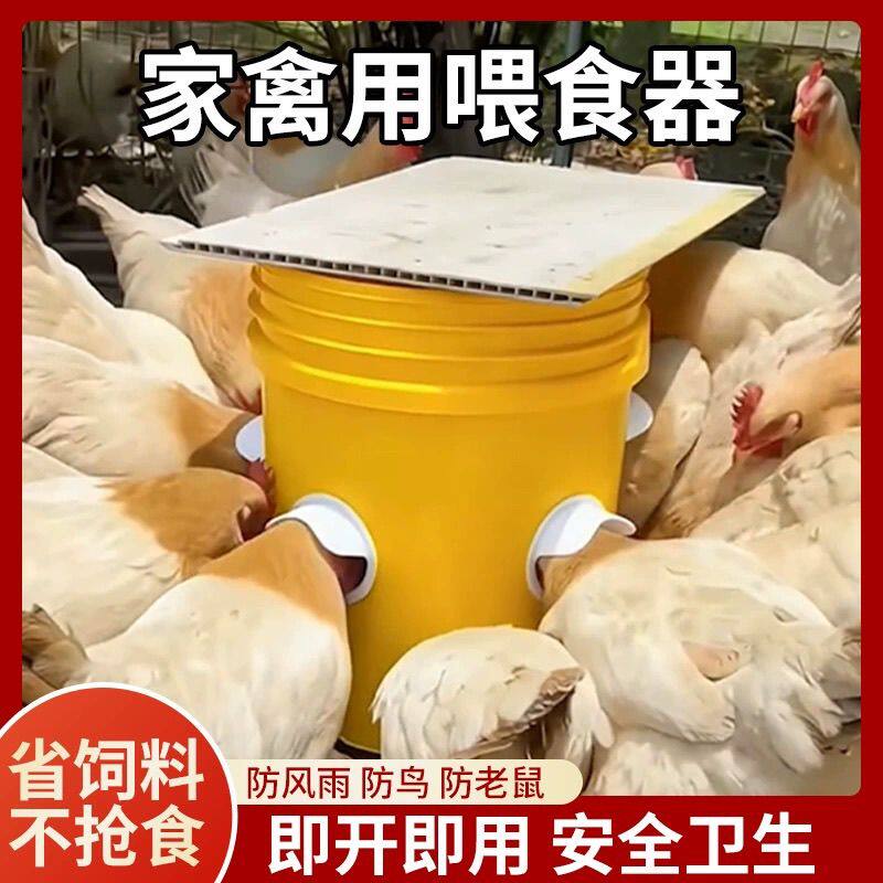 新款家禽自动喂料器鸭子自动喂食器喂鸡食槽喝水喂鹅自动食槽料槽