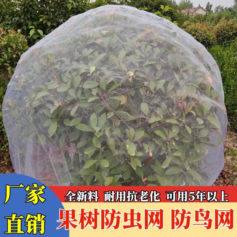 防虫网罩纱网樱桃杨梅蓝莓莲雾果树防鸟防蚊蝇防污染网套透气透光