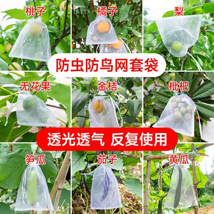 水果套袋防鸟网纱袋瓜果防虫专用袋无花果枇杷葡萄桃子草莓保护袋