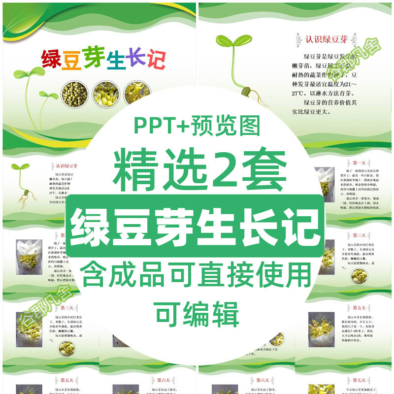 绿豆芽生长记ppt模板小学生科学观察记绿录豆芽成长阶段变化日记