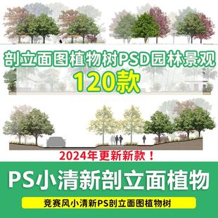 竞赛风小清新ps剖立面图植物树PSD园林景观后期源文件分层素材