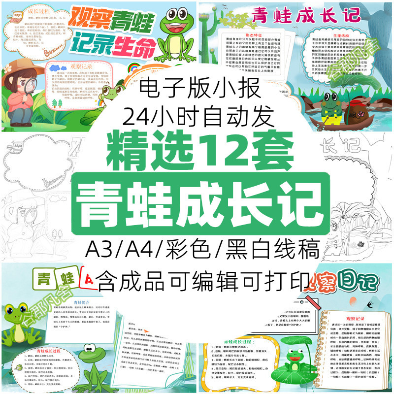 小学生青蛙成长手抄报电子版模板