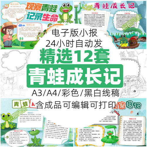 小学生青蛙成长手抄报电子版模板