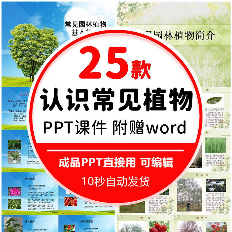 常见园林植物介绍PPT模板景观花卉绿植绿化灌木乔木园艺教学培训