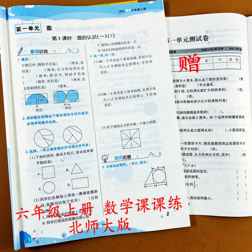 北师大版,送视频微课8张试卷,76页带答案