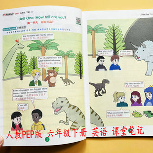 2026人教PEP版 英语新课堂笔记六年级下册英语课文翻译视频讲解6年级下册教材讲解课本提前学预习新课文听力阅读教师备案教辅书荣恒