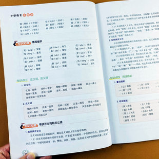 四年级上册语文易错题训练知识点总结易错拼音生字词语句子训练重点难点人教版 多音字形近字近反义词语搭配重叠词易错题练习册荣恒