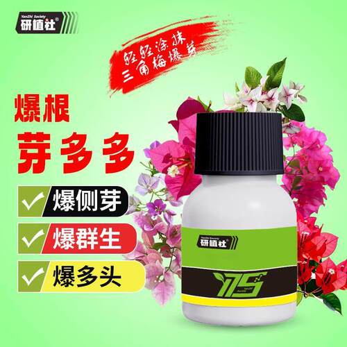 研植社[芽多多]花卉多肉促芽爆芽催芽培养多头群生营养液家用园艺