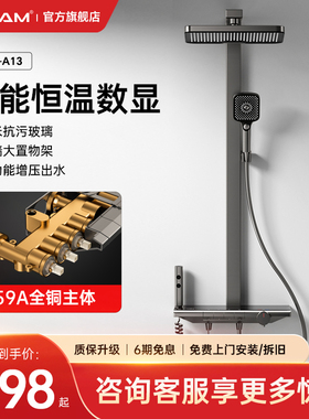 wocam-A13沃咖枪灰色恒温数显花洒套装淋浴淋雨钢琴键全铜奶油白