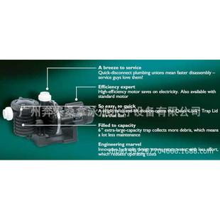 STA 美国原装 RITE 水疗泵 3HP 泳池循环泵 美国喜得乐