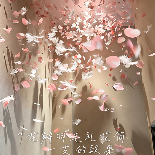 小红薯同款花瓣羽毛双倍加量礼花