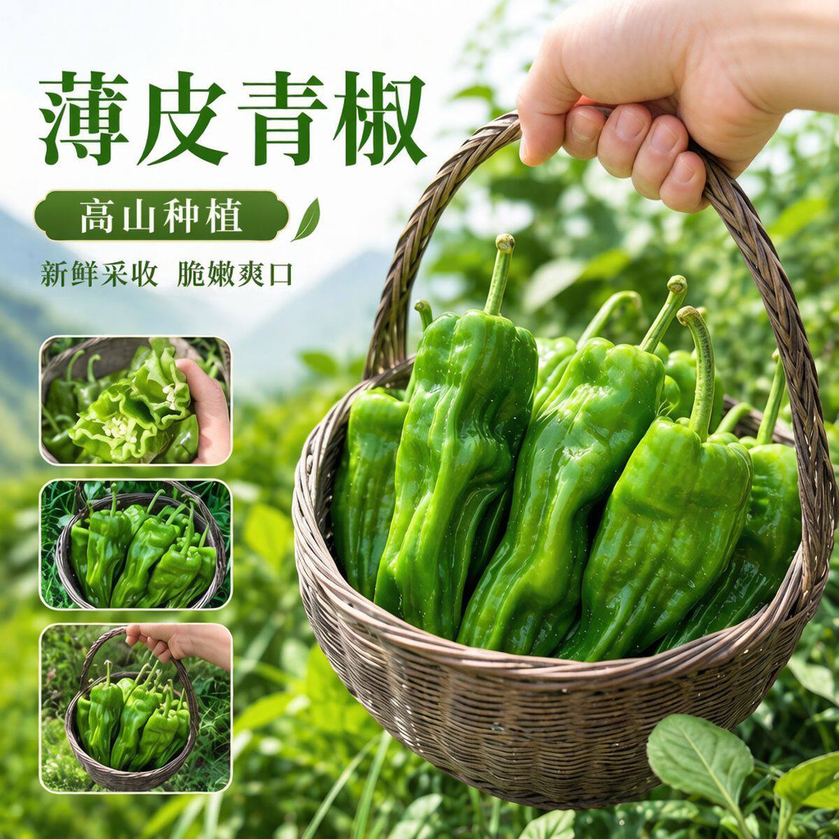 【商超品质】芜湖椒现摘新鲜青辣椒农家自种青椒薄皮椒微辣虎皮椒
