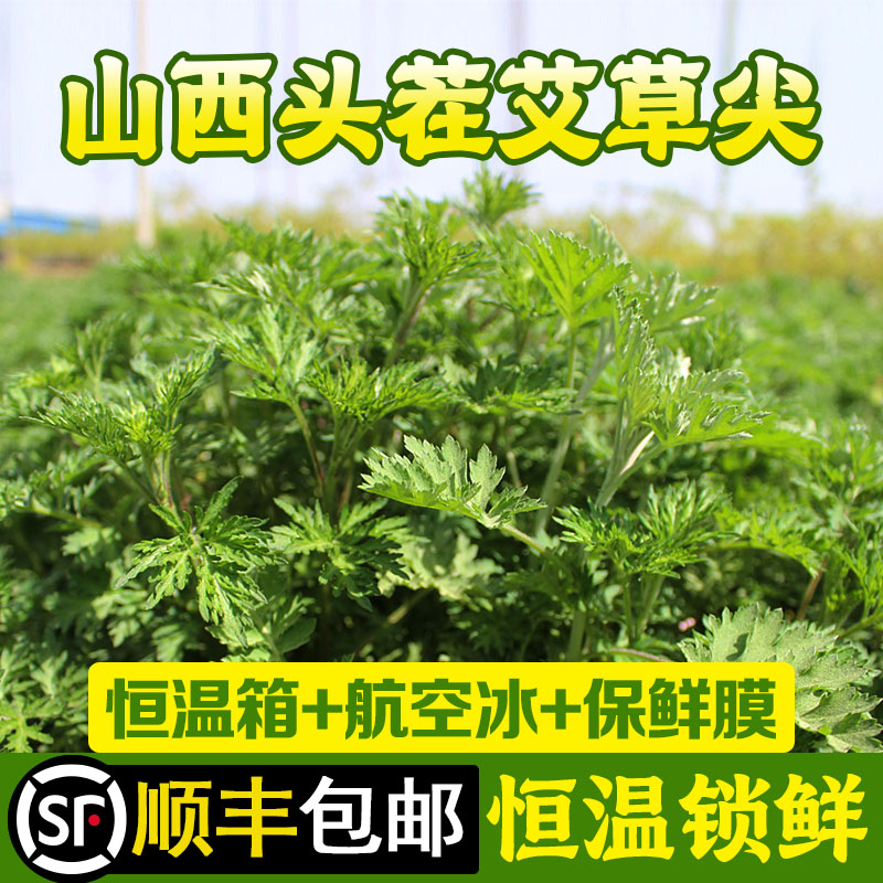 头茬新鲜艾草尖小叶食用用糍粑艾叶蔬菜清明草粑粑青团顺丰包邮