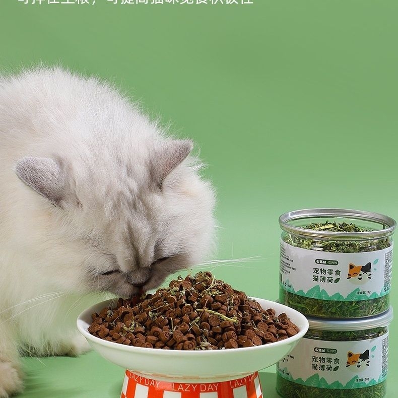 【全网热销100W】猫薄荷助排毛球