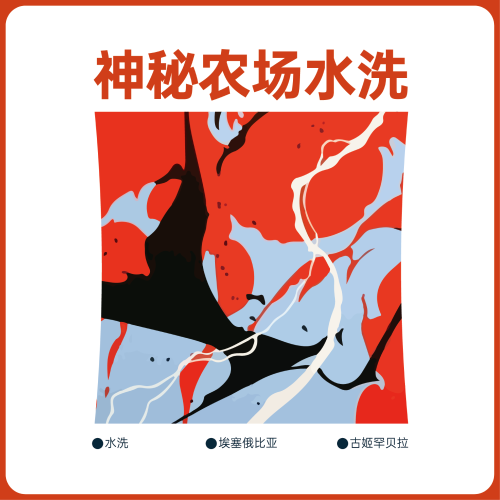 【智烘总决赛用豆｜比赛支持价】神秘农场水洗 G1 古姬罕贝拉 O