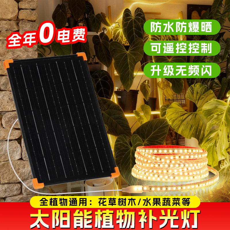 [一万+人种草]太阳能植物补光灯