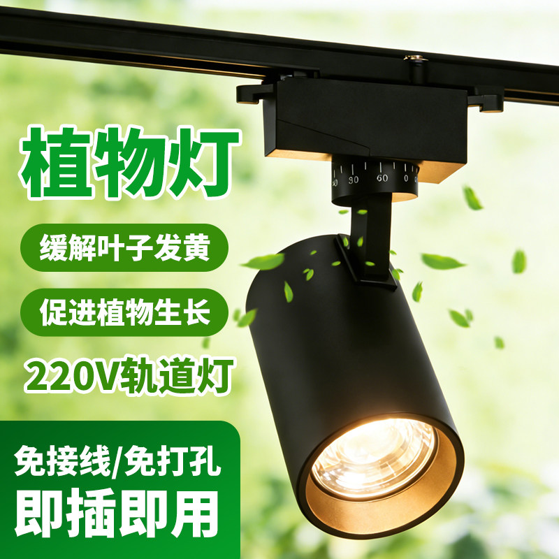 【一万+人种草】植物灯轨道