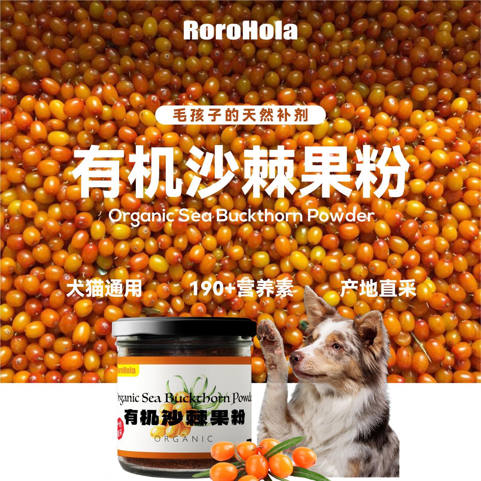 RoroHola轻·养护犬猫通有机沙棘果粉增强抵抗滋养皮肤全方位抗氧