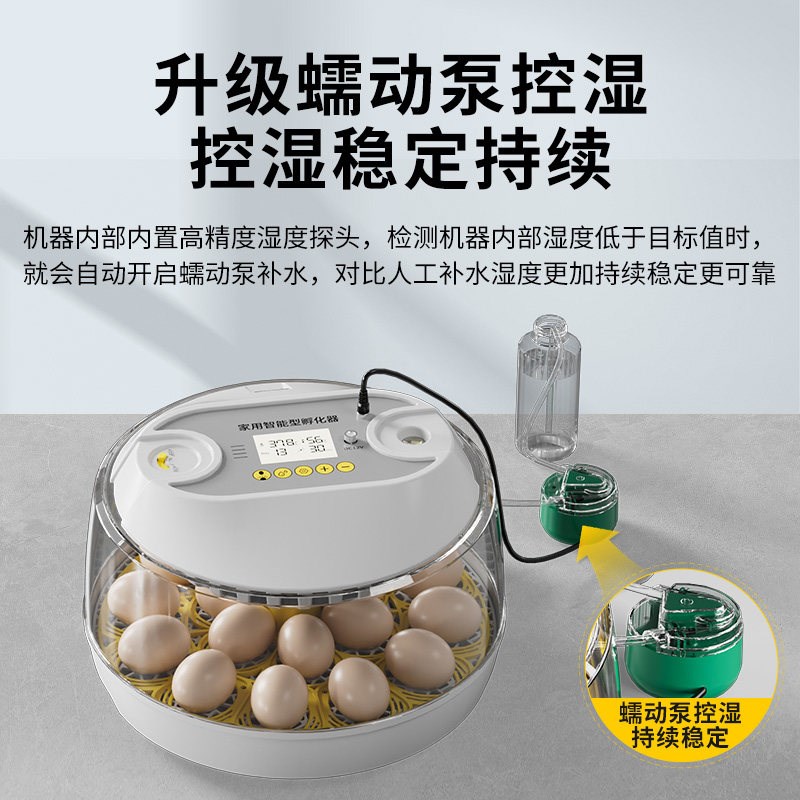 速发孵蛋器小型家用孵化器全自动智能孵化机鸟蛋鹦鹉珍禽专用孵化