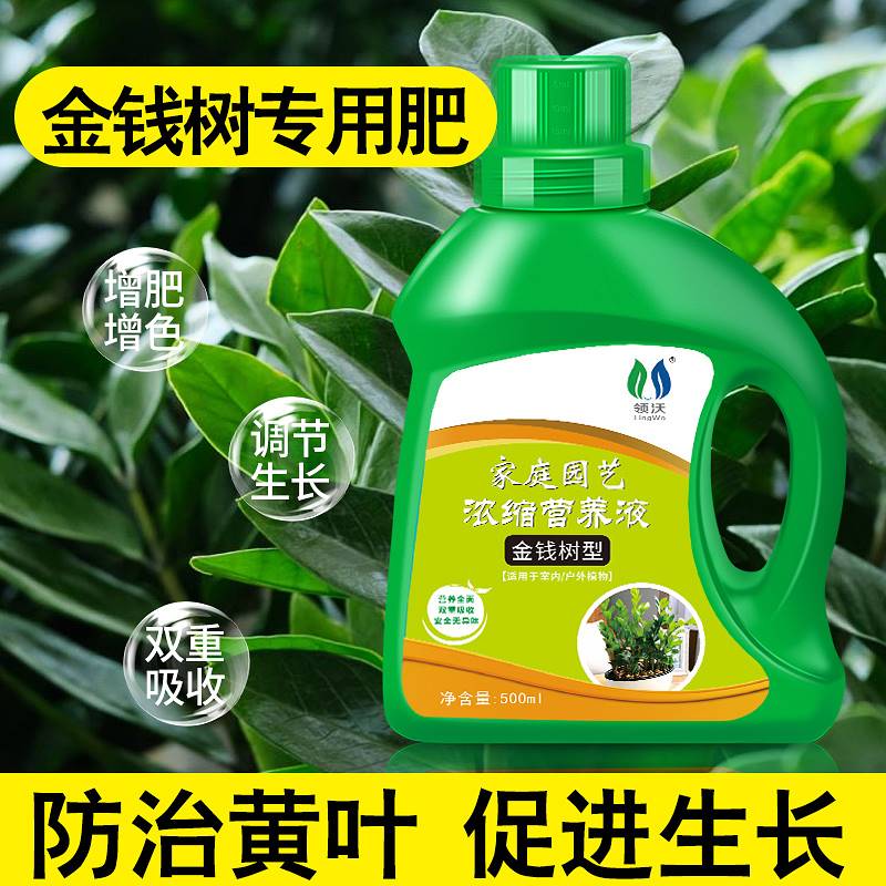 速发金钱树肥料卉营养栽花肥防黄室内盆液养花肥绿植通用型肥