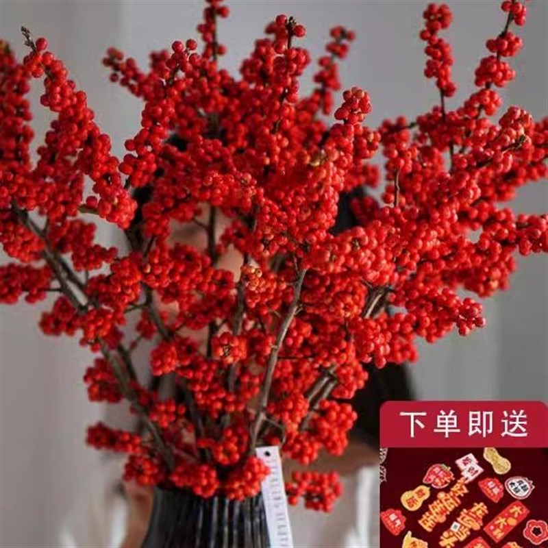 速发北美冬青鲜切发果真花云南基财直发水培切枝红地果年宵花