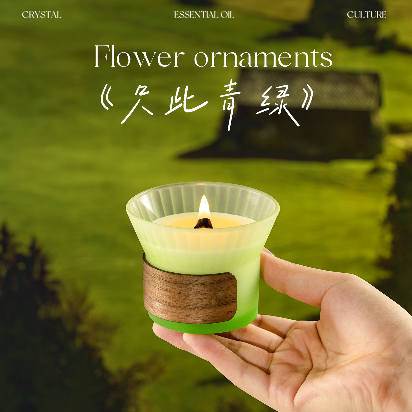 热可可香薰蜡烛室内家用持久高级图片