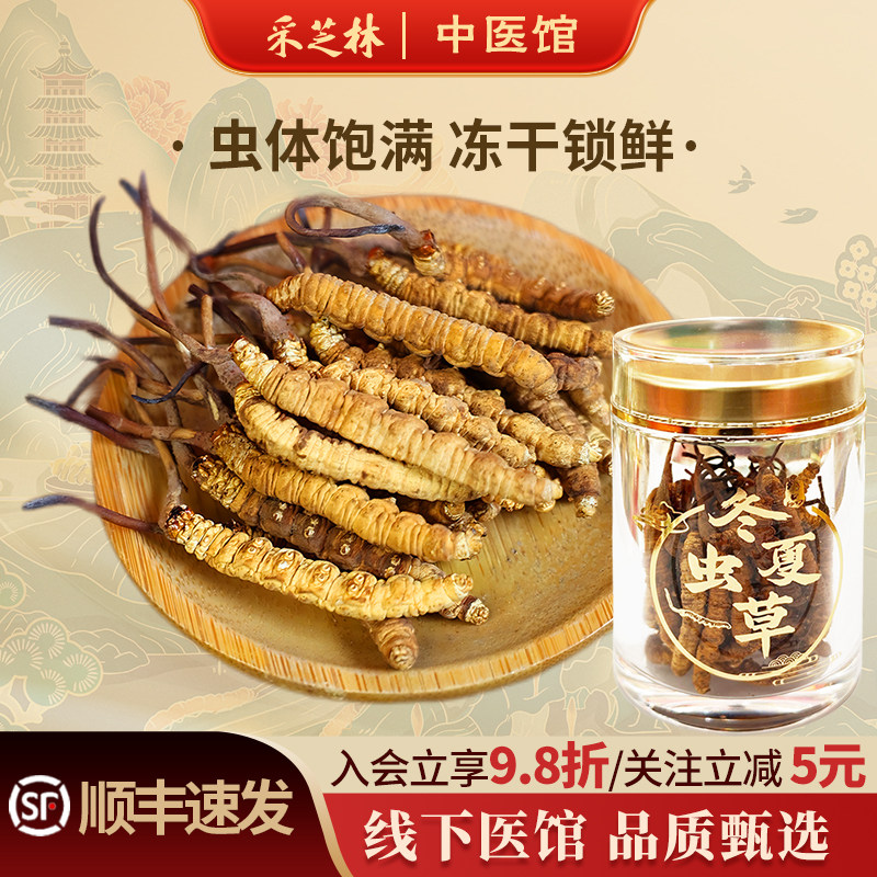 采芝林中医馆人工繁育冻干冬虫夏草干货泡茶煲汤滋补实惠装送礼节