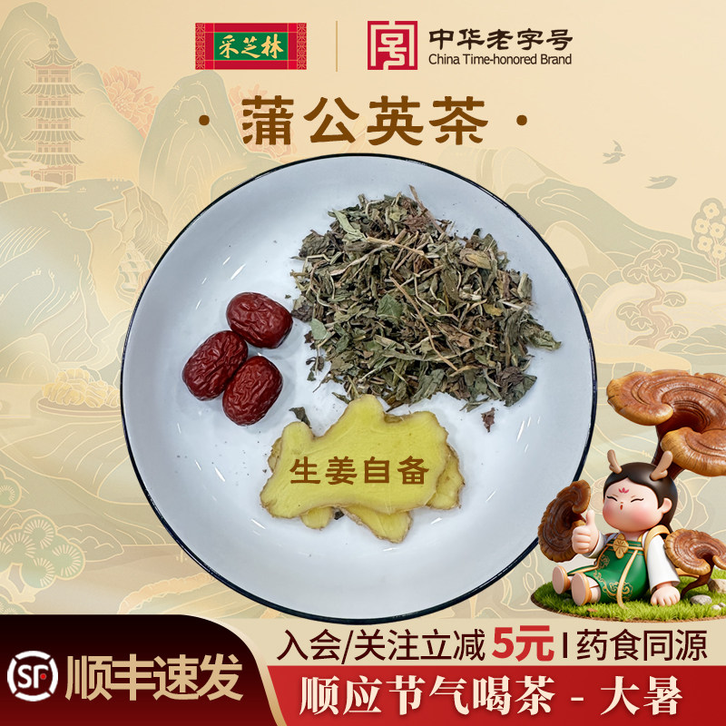 采芝林大暑节气蒲公英茶红茶生姜中药组合茶代用茶草本煮水养生茶