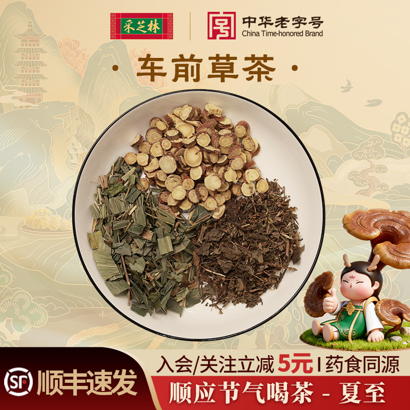 采芝林中医馆24节气茶饮夏至车前草茶淡竹叶甘草中药代茶饮泡煮水
