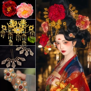 唐风花朵头饰汉服新款古风贵妃发冠头饰仕女图同款唐风全套头饰品