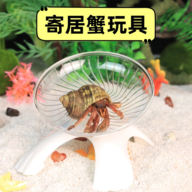 寄居蟹玩具解压防抑郁迷你跑轮静音装饰滑梯跑盘爬梯运动攀爬造景