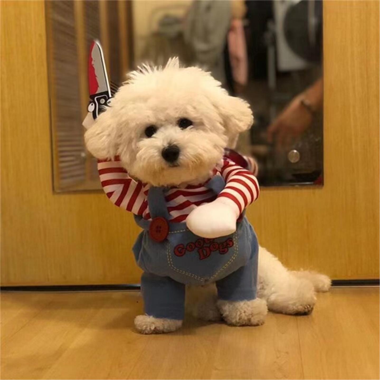 新年宠物衣服比熊金毛狗狗猫咪搞怪博美柴犬柯基泰迪搞笑拿刀装