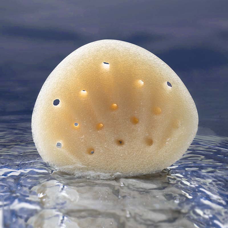 康美奈麗義乳文胸官方旗艦店假胸