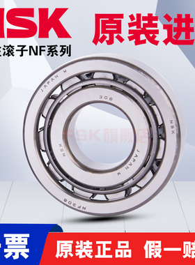 进口日本NSK NF228 230 232 234 236 238 EW EM C3 圆柱滚子轴承
