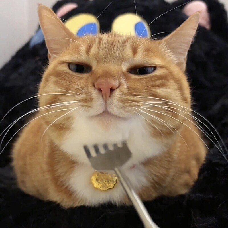 猫咪痒痒挠解痒按摩神器互动性玩具逗猫棒多功能挠头挠下巴新款