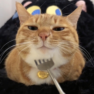 猫咪痒痒挠解痒按摩神器互动性玩具逗猫棒多功能挠头挠下巴新款