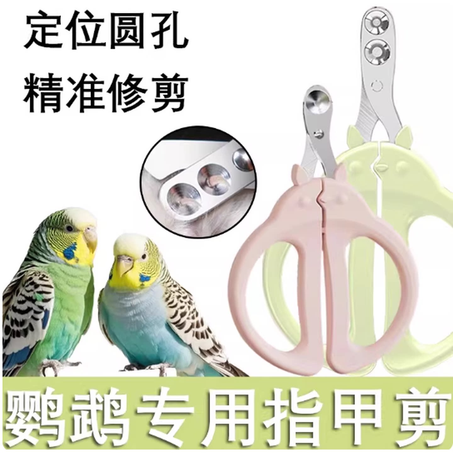 鹦鹉专用指甲剪鸟类指甲刀虎皮牡丹修指甲套装小宠钳子磨甲器用品