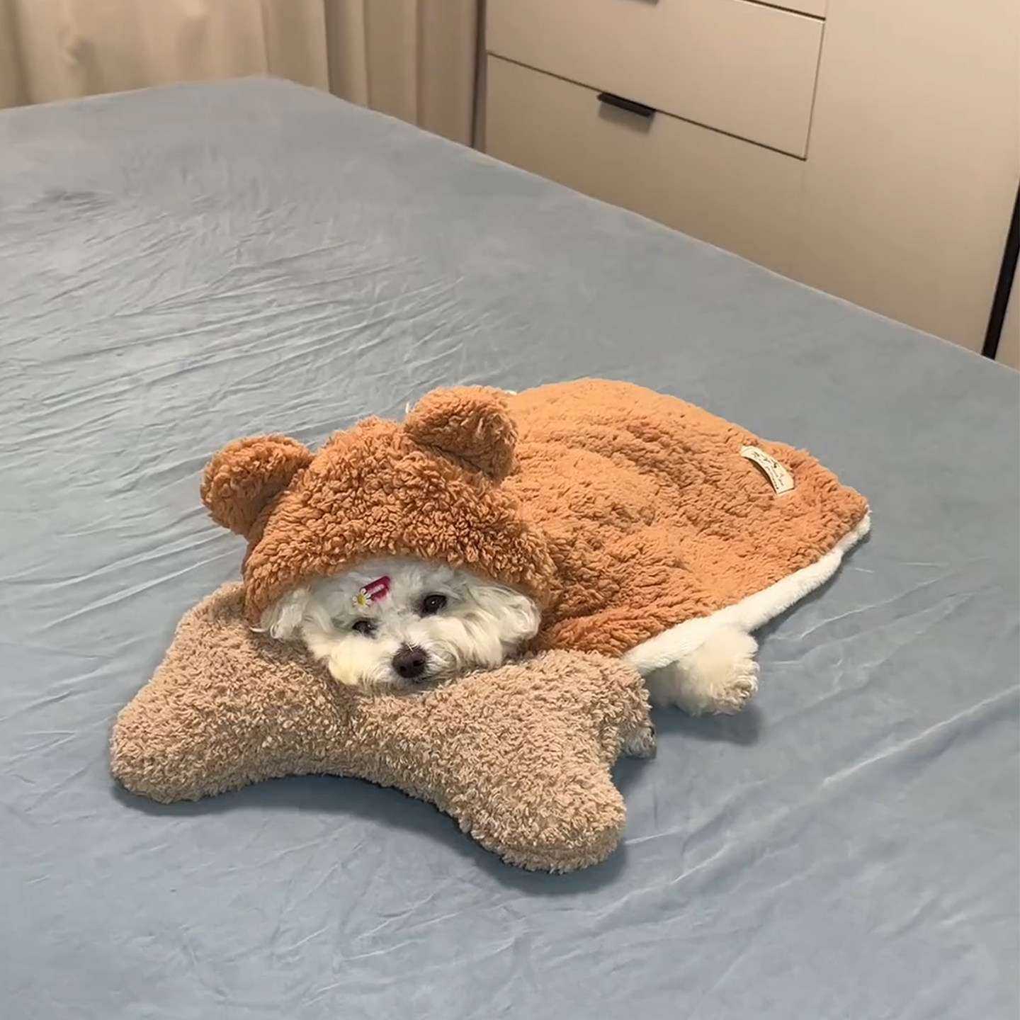 宠物毛毯狗狗衣服冬装中小型犬比熊泰迪猫咪披风2026新款睡衣斗篷