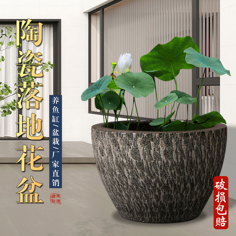 景德镇陶瓷花盆睡莲缸碗莲盆荷花盆盆栽盆特大号庭院阳台水缸摆件