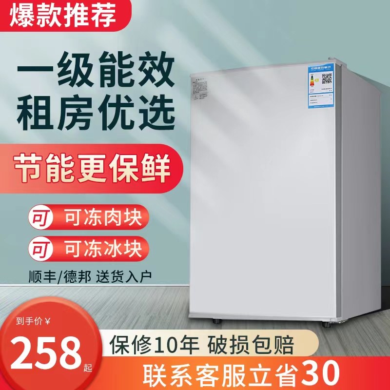 北极熊小冰箱小型家用迷你冷藏冷冻学生宿舍租房用一级节能电冰箱