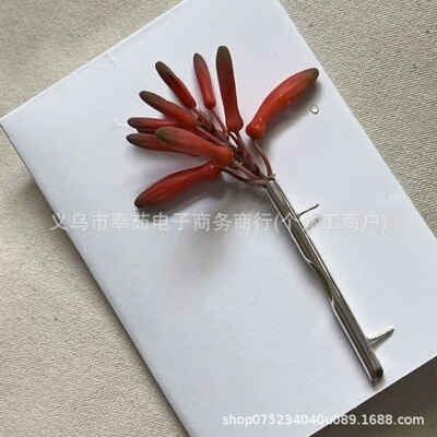 式创意热销新Kind Brooch金属一枚树枝女士温柔胸针装饰