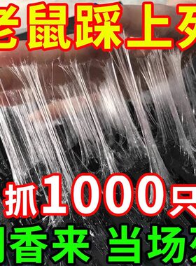 超强力老鼠贴粘鼠板家用一锅端抓粘大老鼠胶灭鼠毯正品驱捕鼠神器