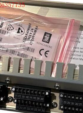 Kongsberg RDi-32XE数字输入模块DC-C20(议价)