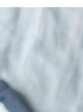 RK-ROSE-KRIEGER QZB00D04AB041,(议价)