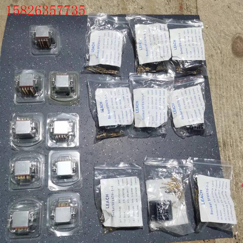 LEACH利奇继电器利奇密封继电器F670- H4D-YUU(议价)