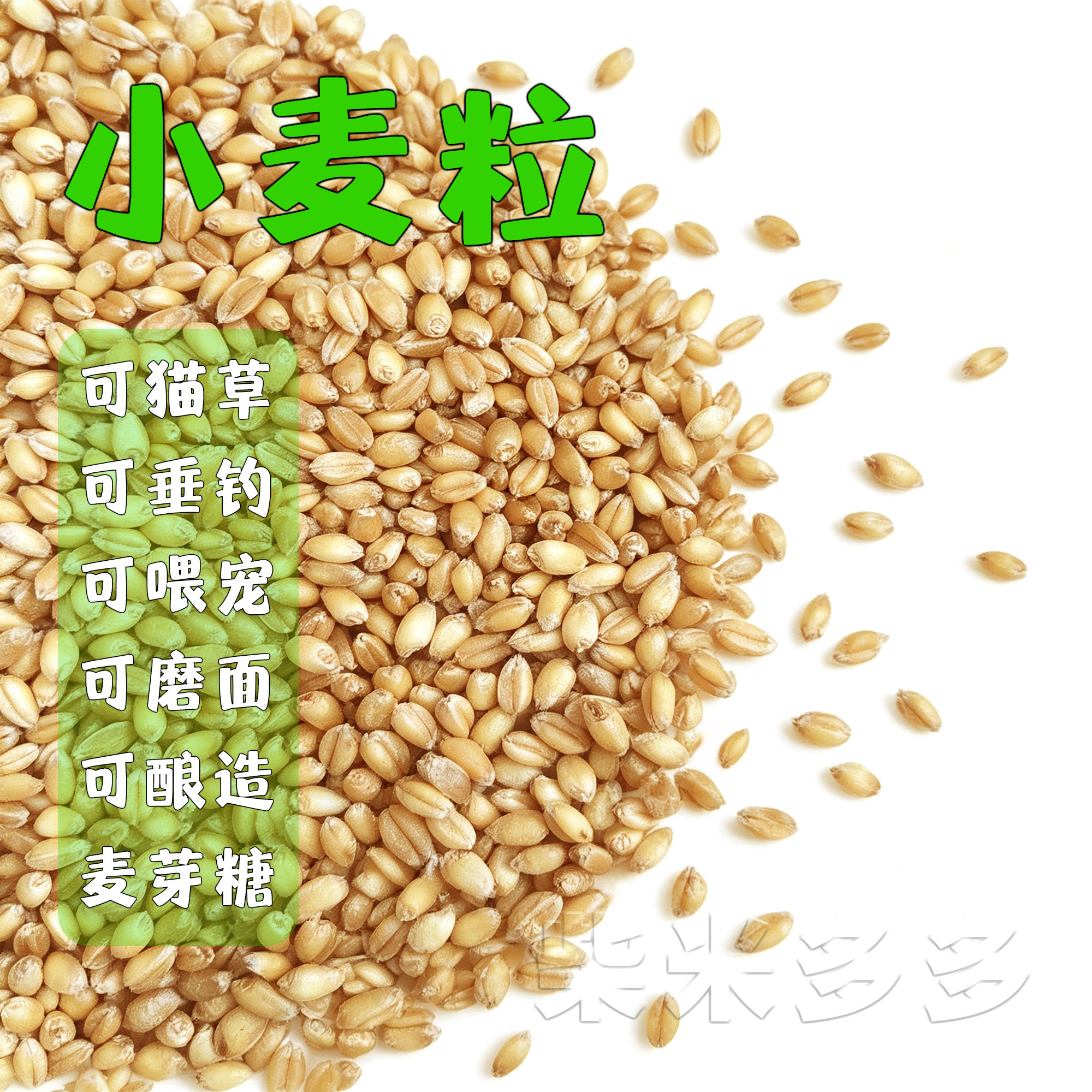 1斤小麦粒发芽猫草喂宠物钓鱼饵鸡鸽鸟食榨汁磨面酿酒醋带皮麦子