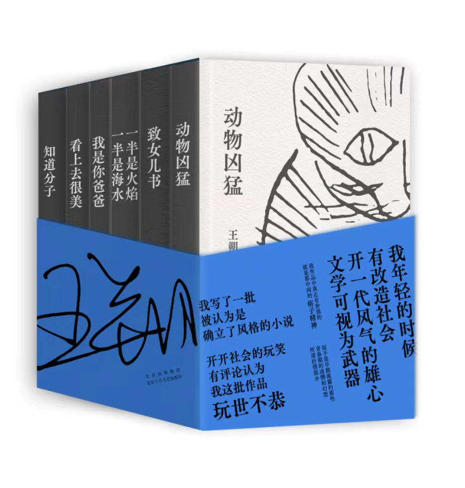 王朔经典作品集精装收藏版
