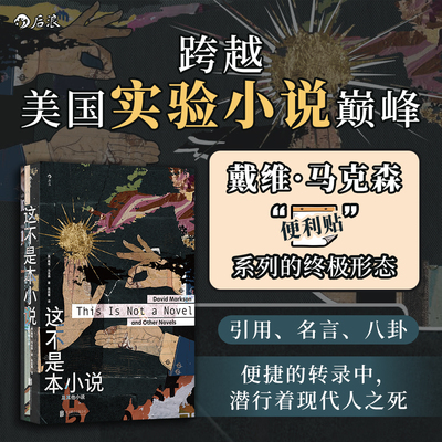 这不是本小说 及其他小说 戴维马克森最后的小说 非传统叙事 后现代主义实验文学书籍 后浪官方正版